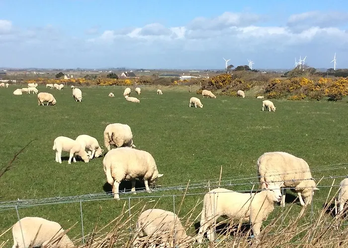 Castleview Ii 펜션 *